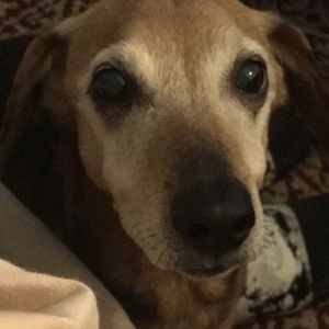 Meet your Posher, Trina